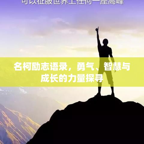 风驰电掣