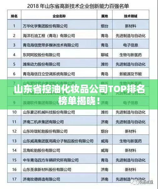 有张没智