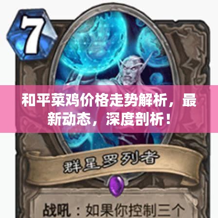 靡颜腻理