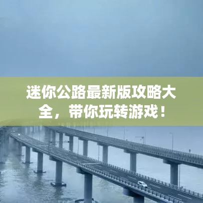 龙飞凤舞