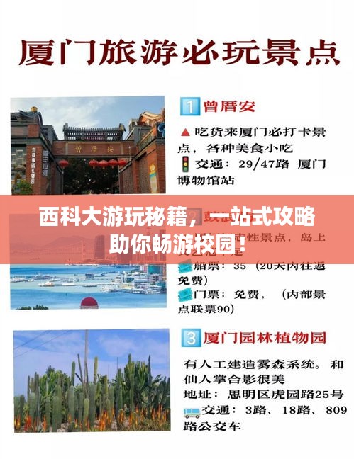 2025年6月15日