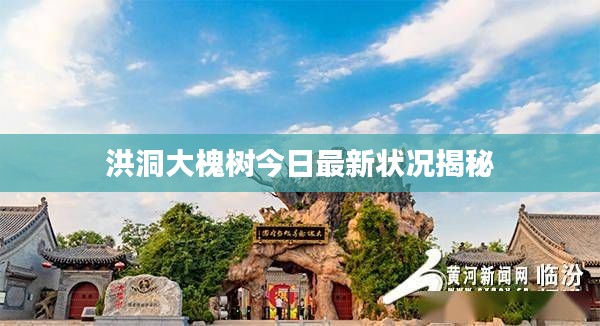 洪洞大槐树今日最新状况揭秘