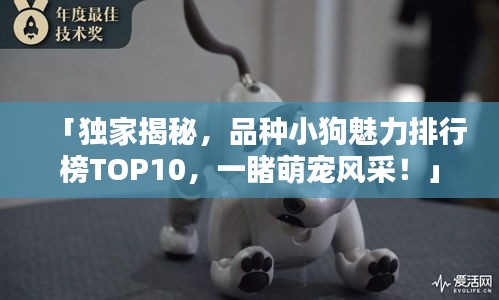 「独家揭秘，品种小狗魅力排行榜TOP10，一睹萌宠风采！」