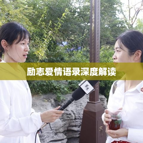励志爱情语录深度解读