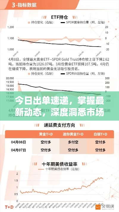 今日出单速递，掌握最新动态，深度洞悉市场趋势