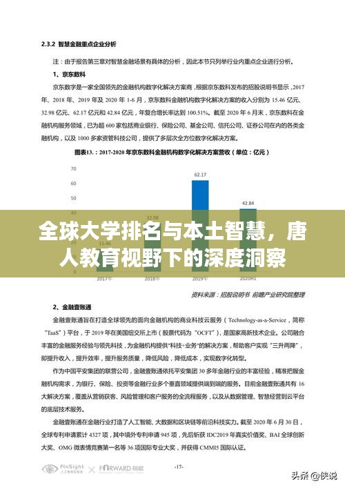 全球大学排名与本土智慧，唐人教育视野下的深度洞察