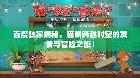 百度独家揭秘，猫鼠跨越时空的友情与冒险之旅！