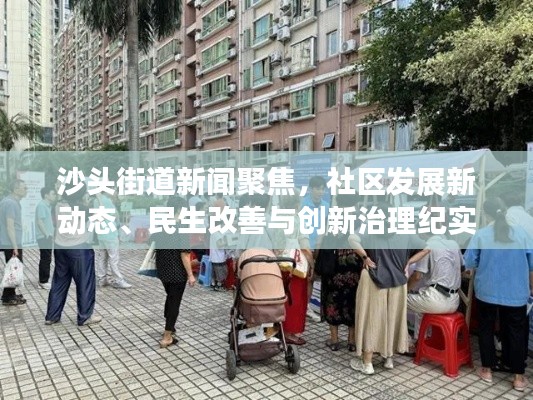 沙头街道新闻聚焦，社区发展新动态、民生改善与创新治理纪实