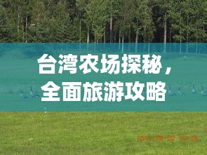 台湾农场探秘，全面旅游攻略大揭秘！