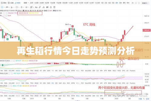 再生稻行情今日走势预测分析