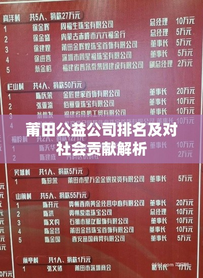 莆田公益公司排名及对社会贡献解析