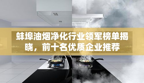 蚌埠油烟净化行业领军榜单揭晓，前十名优质企业推荐