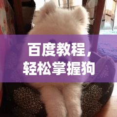 百度教程，轻松掌握狗狗绘画技巧，创意无限展现萌宠魅力！