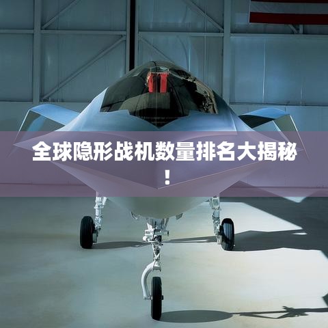 全球隐形战机数量排名大揭秘！