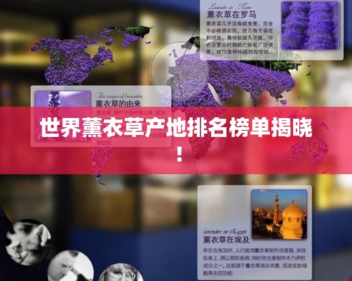 世界薰衣草产地排名榜单揭晓！