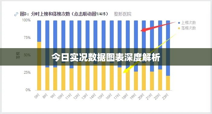 今日实况数据图表深度解析