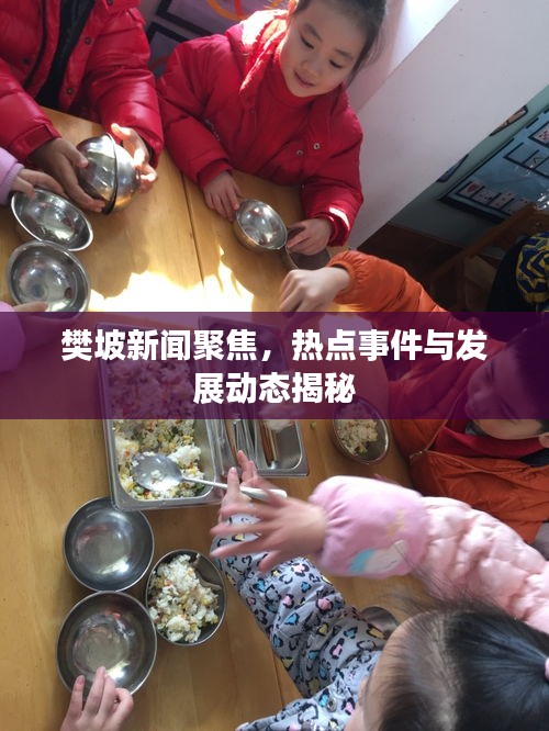 樊坡新闻聚焦，热点事件与发展动态揭秘