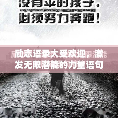 2025年7月3日 第5页
