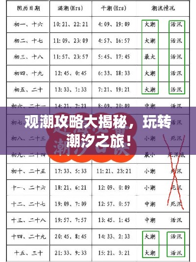 观潮攻略大揭秘，玩转潮汐之旅！