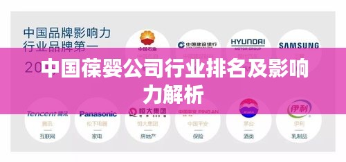 中国葆婴公司行业排名及影响力解析
