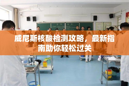 威尼斯核酸检测攻略，最新指南助你轻松过关