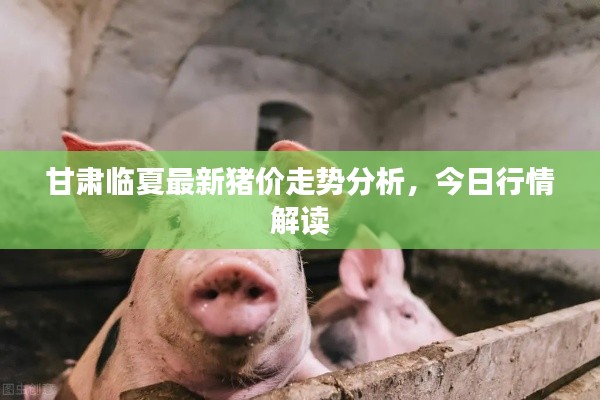 甘肃临夏最新猪价走势分析，今日行情解读