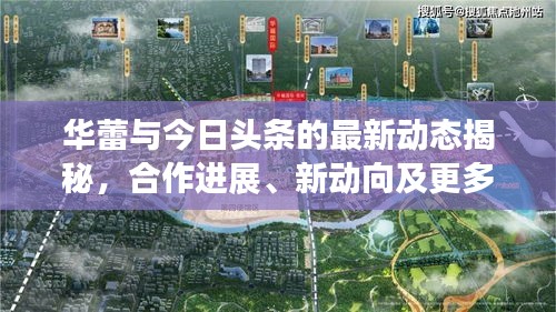 华蕾与今日头条的最新动态揭秘，合作进展、新动向及更多惊喜！
