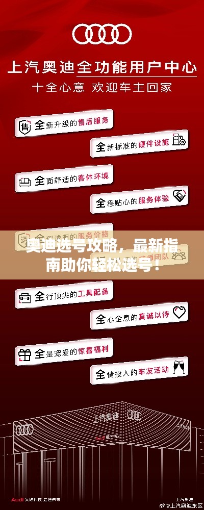 奥迪选号攻略，最新指南助你轻松选号！