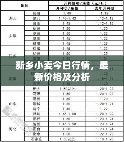 新乡小麦今日行情，最新价格及分析