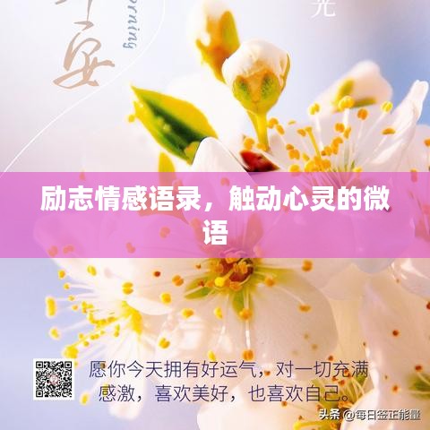 励志情感语录，触动心灵的微语