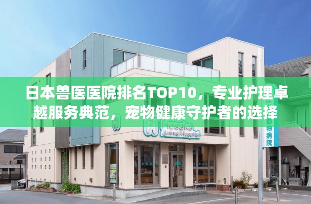 日本兽医医院排名TOP10，专业护理卓越服务典范，宠物健康守护者的选择