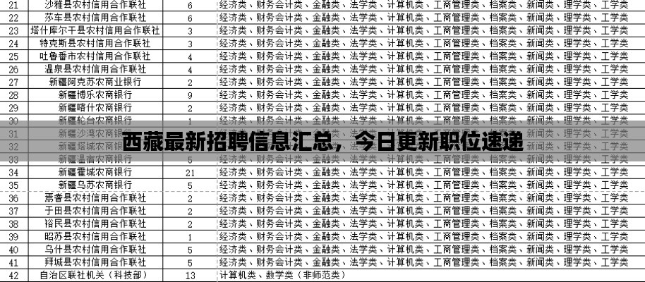 西藏最新招聘信息汇总，今日更新职位速递