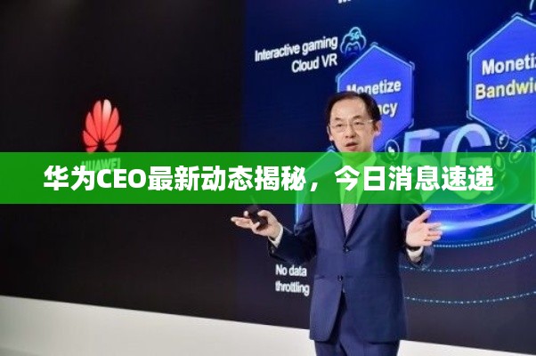 华为CEO最新动态揭秘，今日消息速递