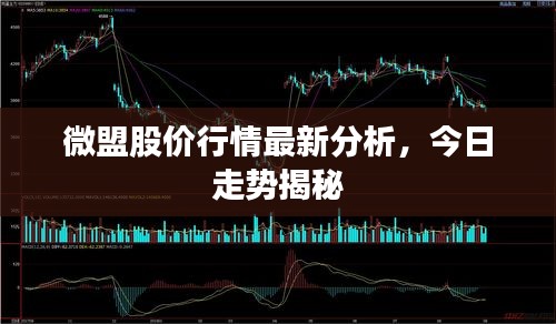 微盟股价行情最新分析，今日走势揭秘