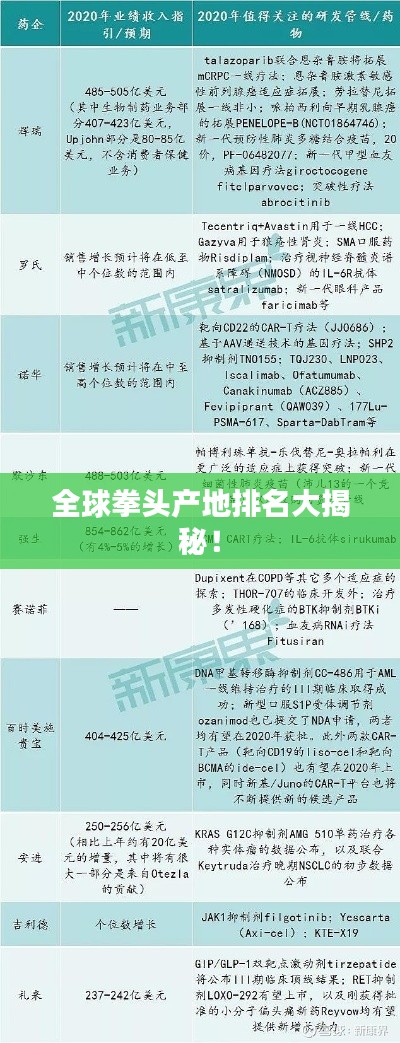 全球拳头产地排名大揭秘！