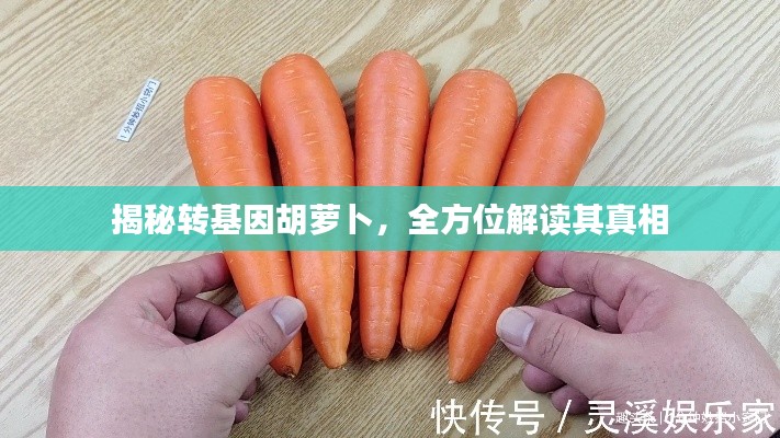 2025年7月23日 第2页