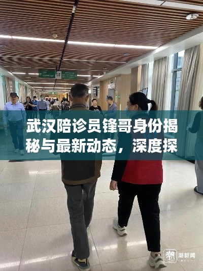 武汉陪诊员锋哥身份揭秘与最新动态，深度探访陪诊员背后的故事