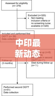 中印最新动态速递，今日焦点信息一览