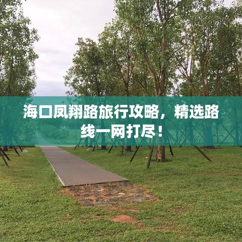 海口凤翔路旅行攻略,精选路线一网打尽!