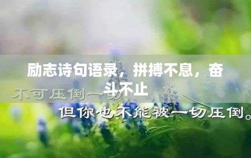 2025年7月26日