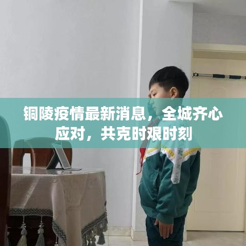 铜陵疫情最新消息，全城齐心应对，共克时艰时刻