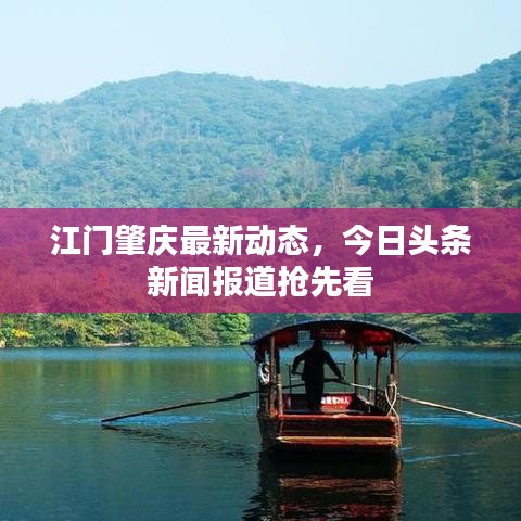 江门肇庆最新动态，今日头条新闻报道抢先看