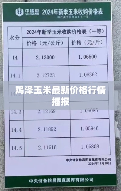 2025年7月28日 第2页