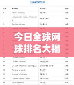 今日全球网球排名大揭秘，最新排名榜单出炉！
