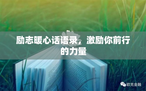 2025年7月28日
