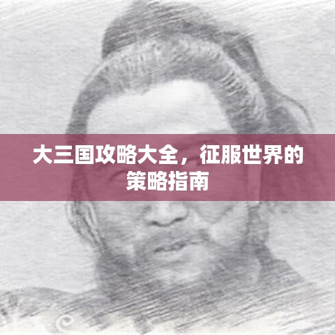 大三国攻略大全，征服世界的策略指南