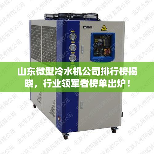 山东微型冷水机公司排行榜揭晓，行业领军者榜单出炉！