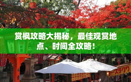 赏枫攻略大揭秘，最佳观赏地点、时间全攻略！