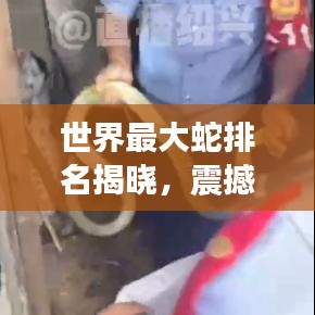 世界最大蛇排名揭晓，震撼人心的巨型蛇类榜单！