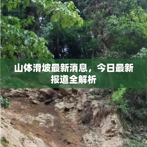 资料下载